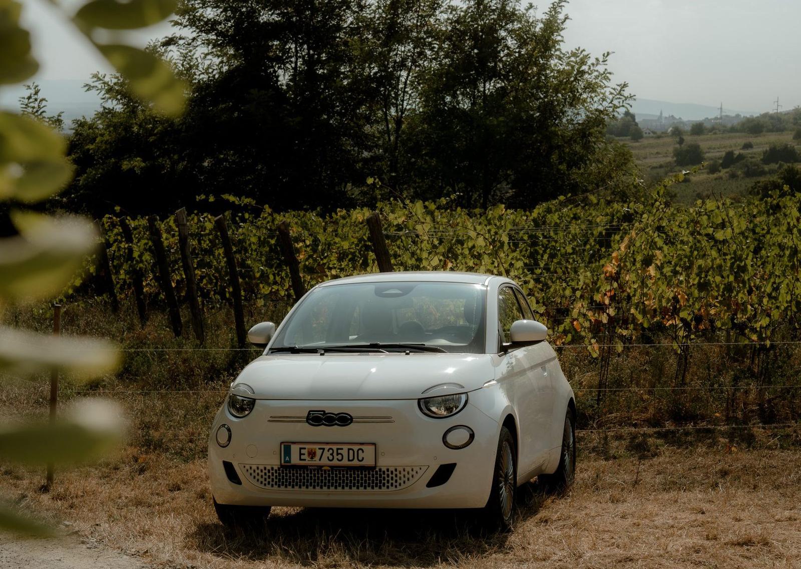 Immer mehr Autobauer setzen auf elektrischen Antrieb